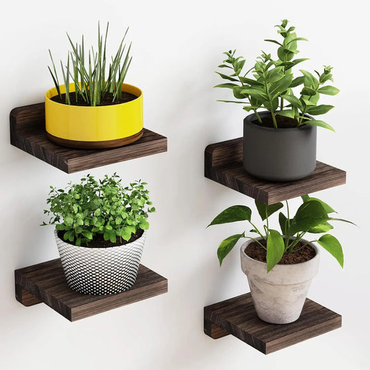 VERDANT LEDGE WALL SHELF